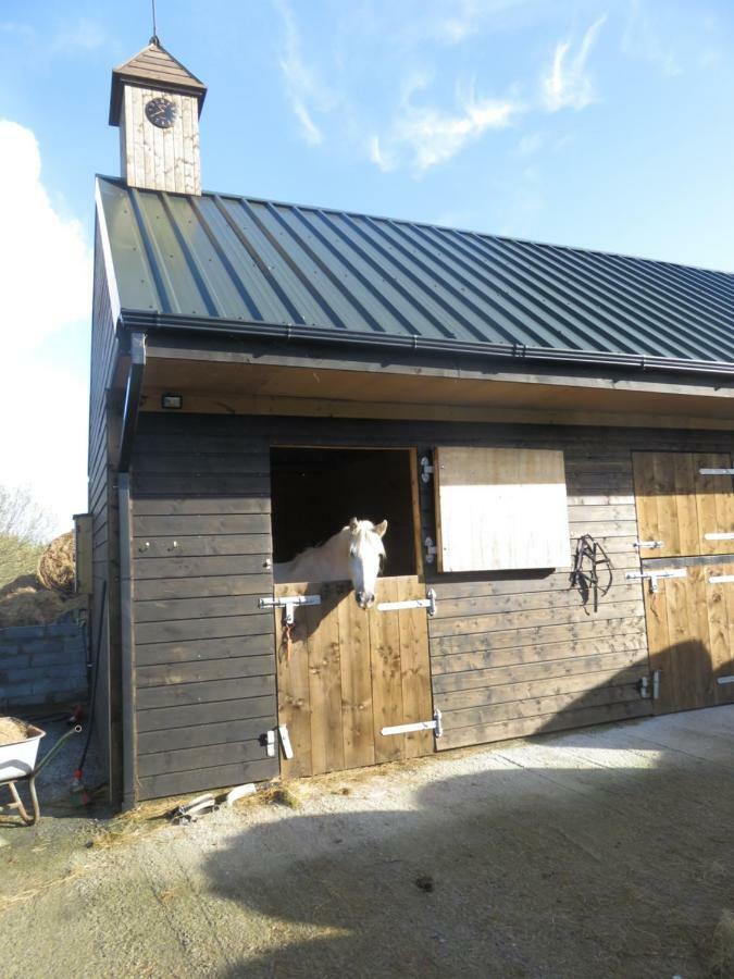 Bunkhouse - Letterfrack Farm Villa Exterior foto